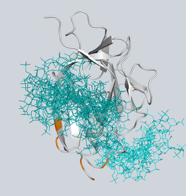 Molekülstruktur von IL-1α in Bindung an verschiedene Glykosaminoglykan-Moleküle
