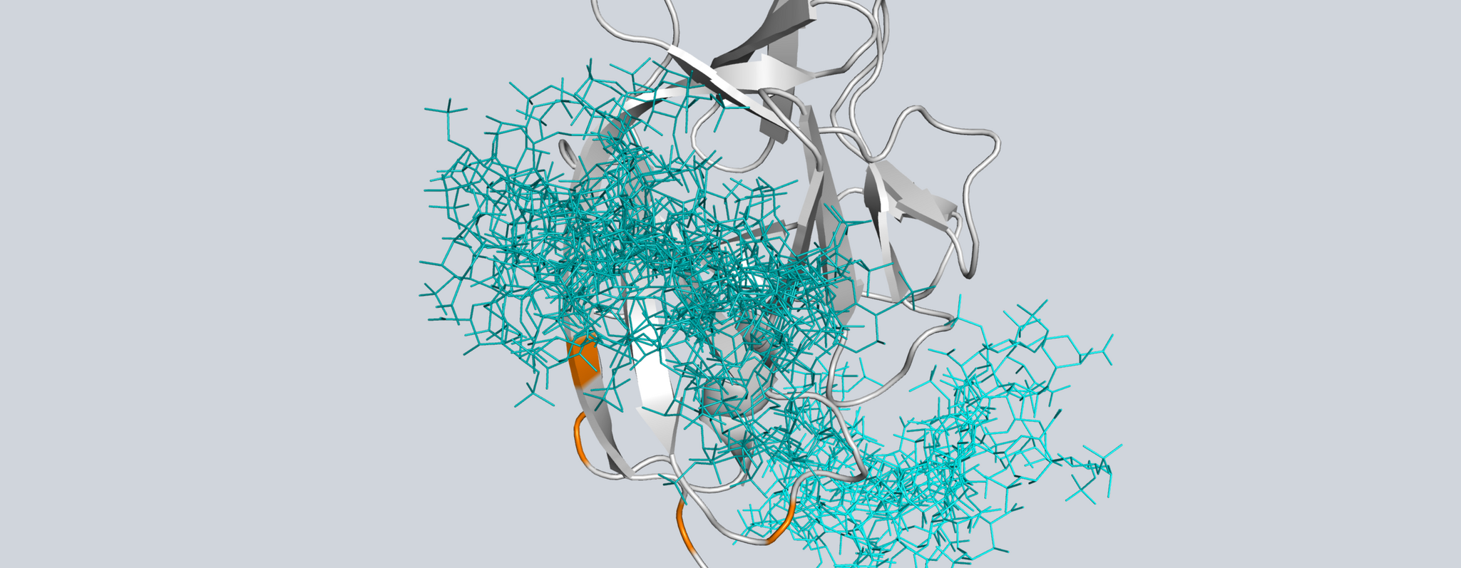 Molekülstruktur von IL-1α in Bindung an verschiedene Glykosaminoglykan-Moleküle