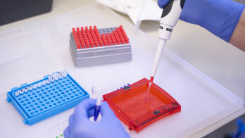 Neuropathologie UKS