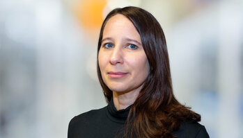 Lisa Kupfer