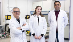 Das Projektteam