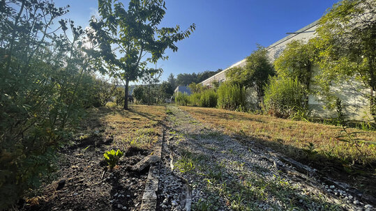 Bauerngarten