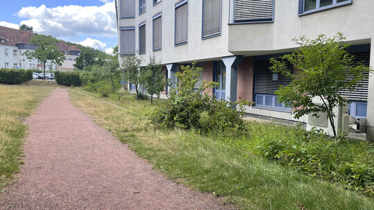Beerengarten