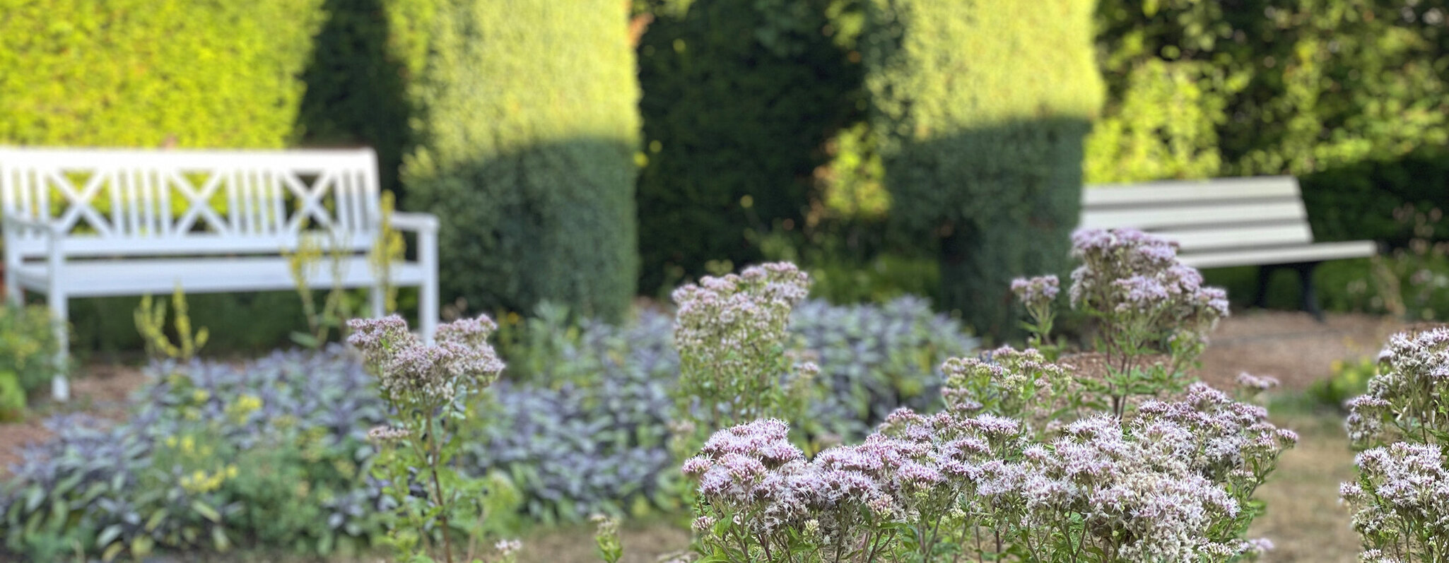 Heilpflazengarten