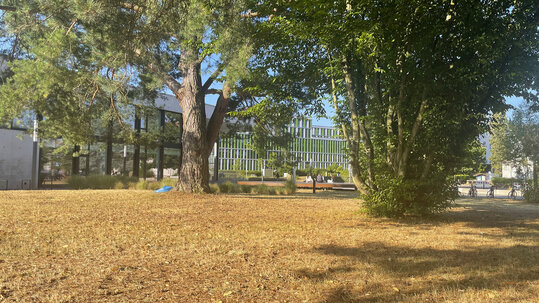 Garten beim Finanzdezernat