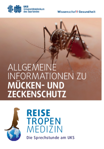 Flyer M&uuml;cken und Zecken