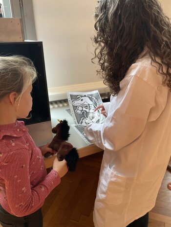 Teddyklinik 2025