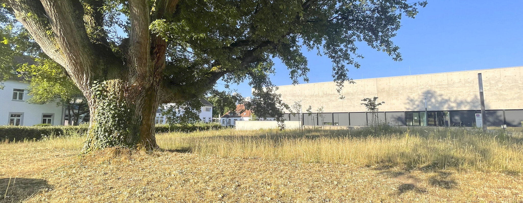 Hörsaalgarten