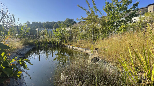 Bauerngarten